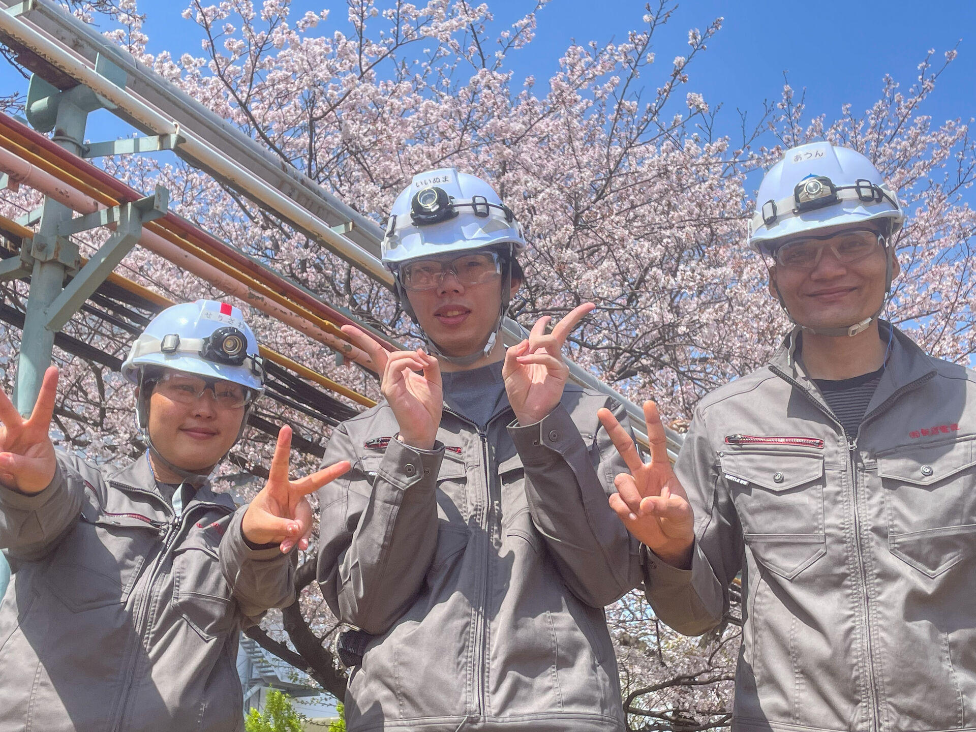入社後の流れ